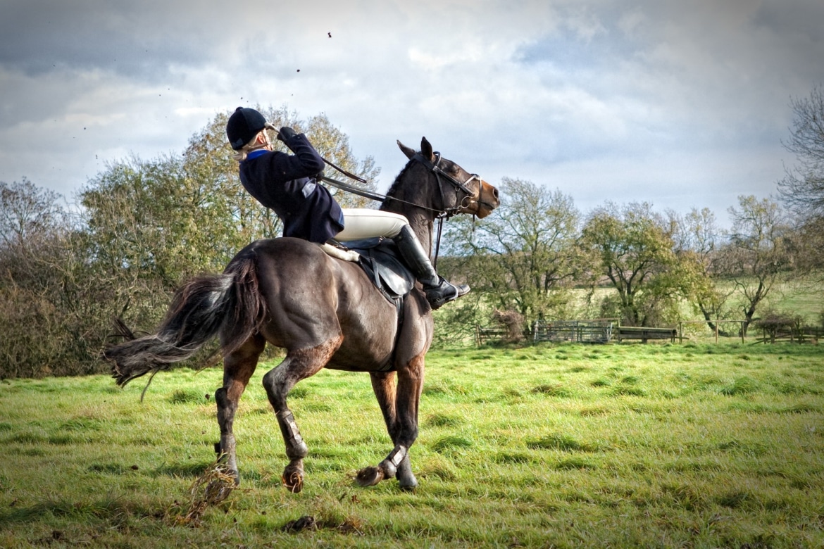 Letselschade door paard Letselschade door paard